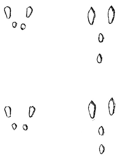   ''.  -     (   , , , , , ,    .)     ;         .  -  ,       (   '').          ,    .          , ,    .