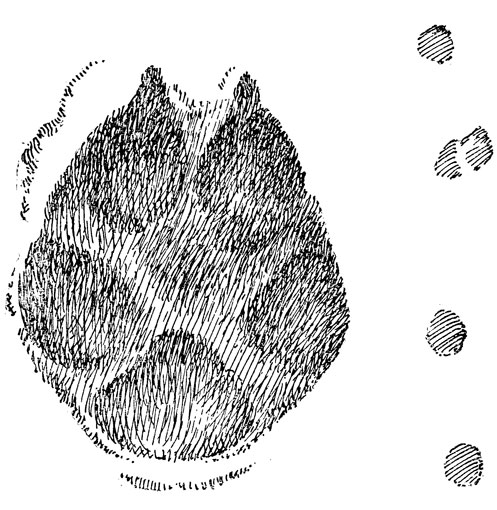           (. .).       ,     .  , .