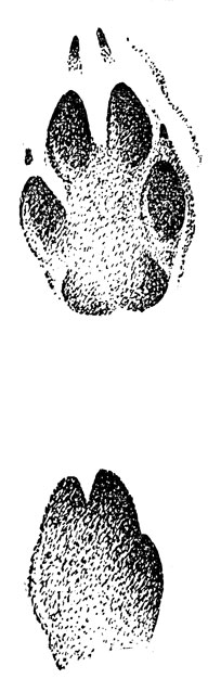       (. .).      16 - 18 .  , .