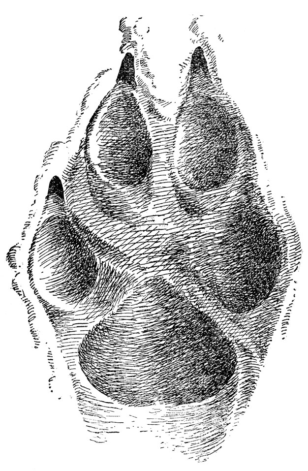          ( 12,5   8,5 ; . .).  , .