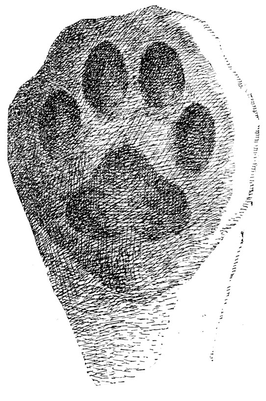         (. .).   ,    ,  ;     ,    ,  .          .  ,  .