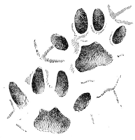    -  -   (, .).   , , .