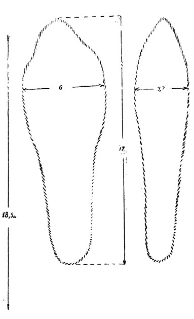        :  -  ( );  -   -  ( ),   -      -              (.).