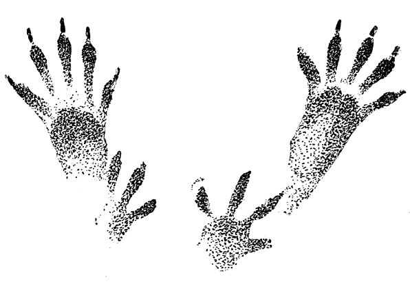       (. .).        ,   -        .  , .