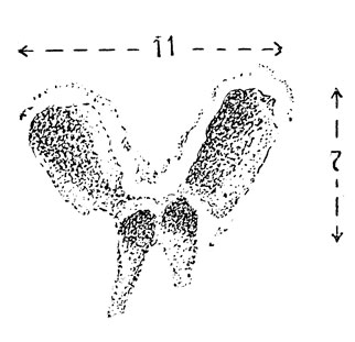     ,  .     ,            (.).