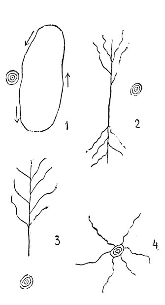    ,  -: 1 - ,   ; 2 -  ,     ,         ; 3 -  ,         ; 4 -  ,       .