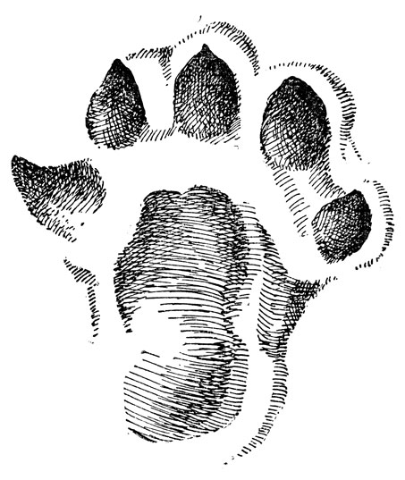        ;       ,   (, .).  , .