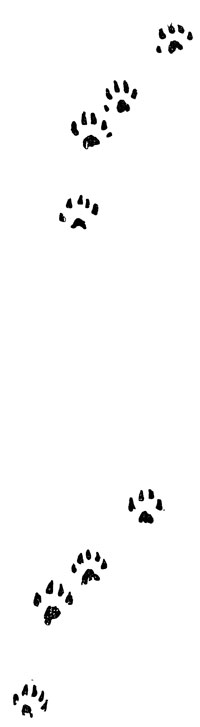      .         . ,      ,    .  ,  .