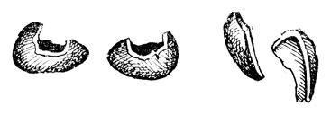     : 1 -   ; 2 -  - ''  ''; 3 -  ,        .       ,       ,    (.  . . 11).