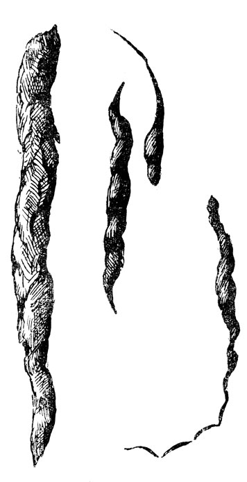  -   ,  - ,   -    (. .).