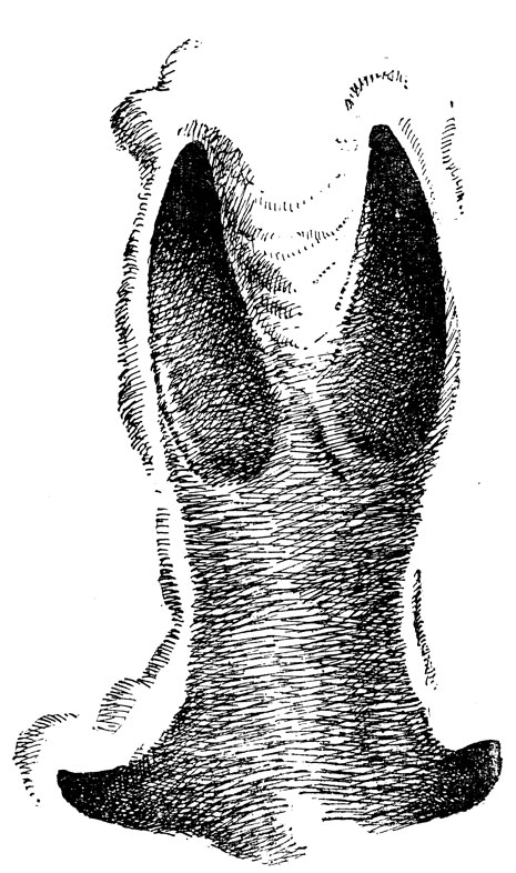        .        ,   , ,   ,      (. .).  , .