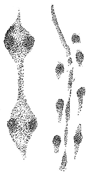   -  :    ,  -   (. .).  , 