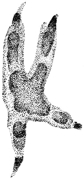     - ,  ,  -    (. .).  .