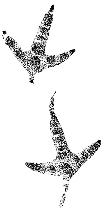       (.).   ,       , ''   .  ,     ,   .   2,5 .  , .