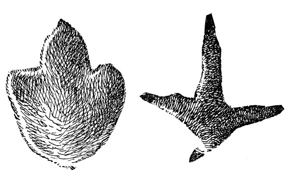  -        (),  -     ().   ,      ( .).  .