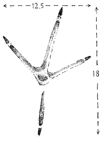    (.).  ()        (  ).