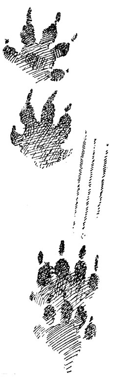       (. .).   ,  ;  -   ,    .  ,  .