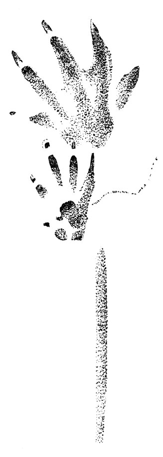        ;        ;          .        .  ,  .