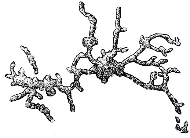 ,   ,    ,     ,    (.).  ,  .