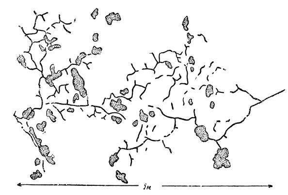    -    ,      20 2  ,        .  ,  .