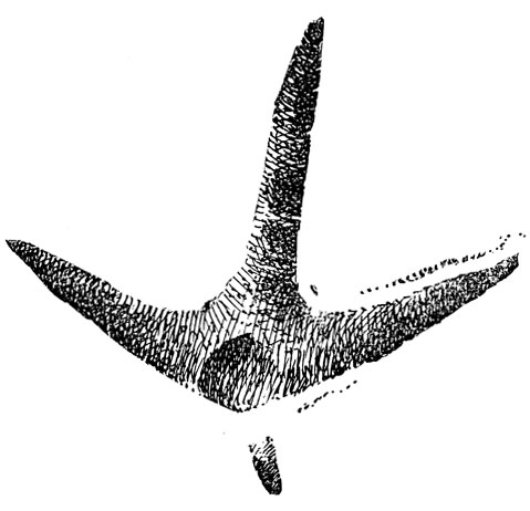        (. .).     ,        .  , .