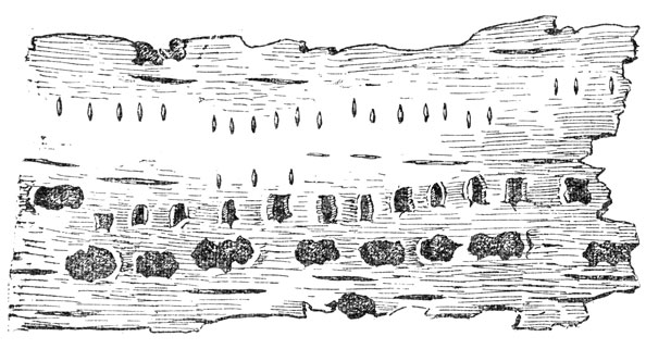    6 X 15      .  -    ,  -  ,     (.).  .