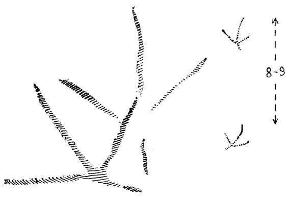   (. .).      ,   ;   ,      .