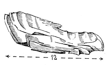 ,     ;      (.).  ,  .