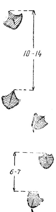  -   ,  - - .       '' -    ,     (.).