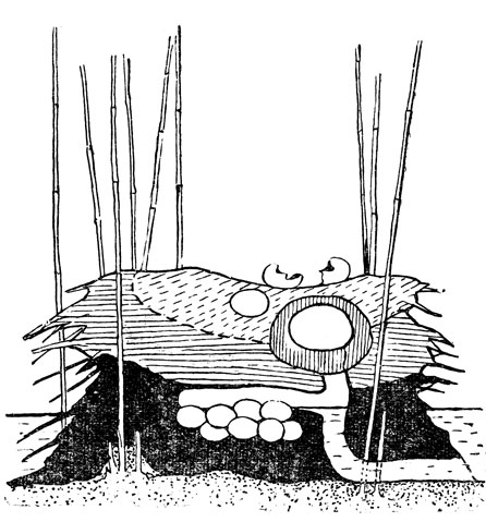   ''      .         ,      .          .  .