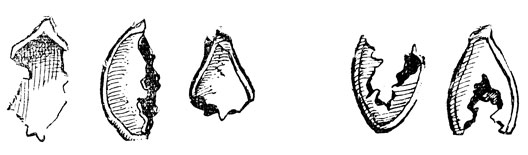  ,  :  -  ( ,    );  -    (  ,    ) (. .).  .