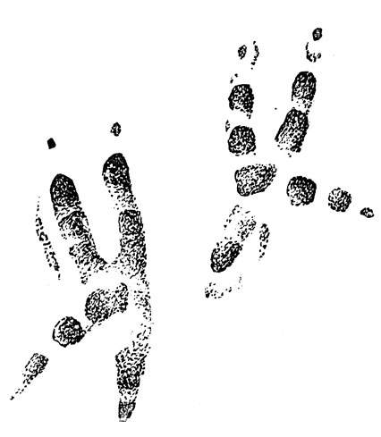      (. .).  ,     ,          ;    ,     ,  , , .