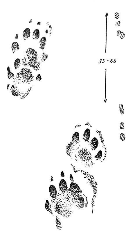   (. .)       .     , ,        .   ''    ,  ,  . , .