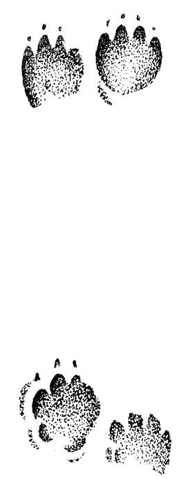       (. .).      ;   .  . , .