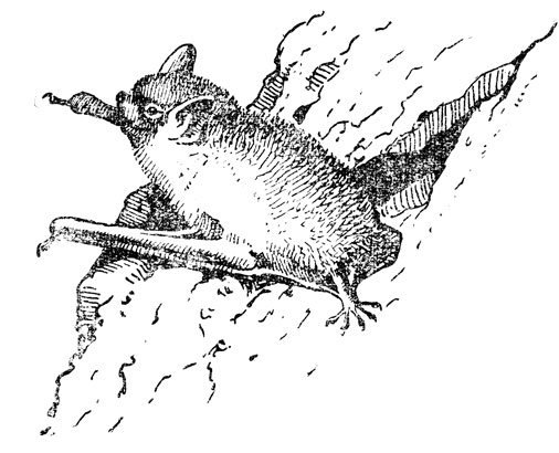 - -       -    (. .). -,  .