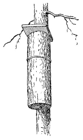    ,       .     .  4,5 - 6   .            4 - 8   .