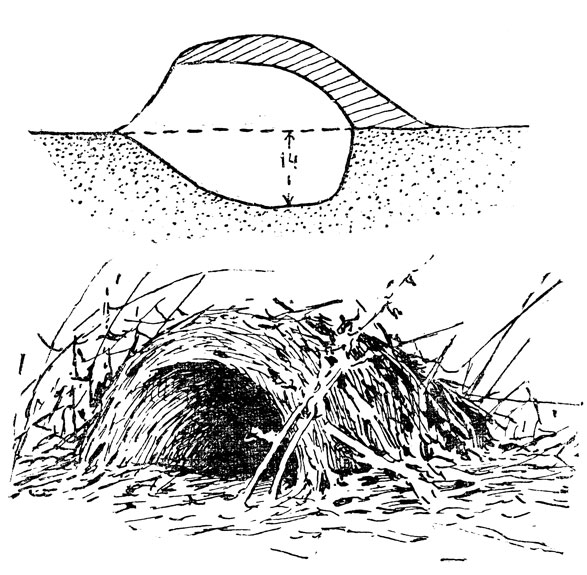   ()      .         (.).  .