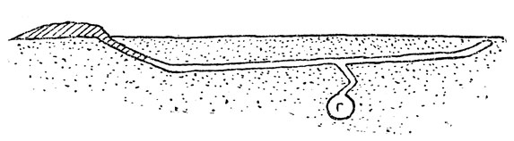     .    ();      ;  -  .