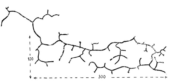           3 2.   ,     10 .       .