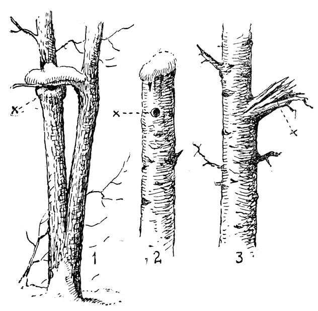      : 1 -  ,       ; 2 -   ,   , 3      .  .