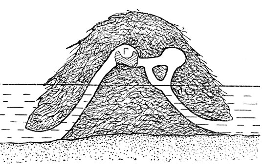   ''      ,   ()    .     ,     ,      .