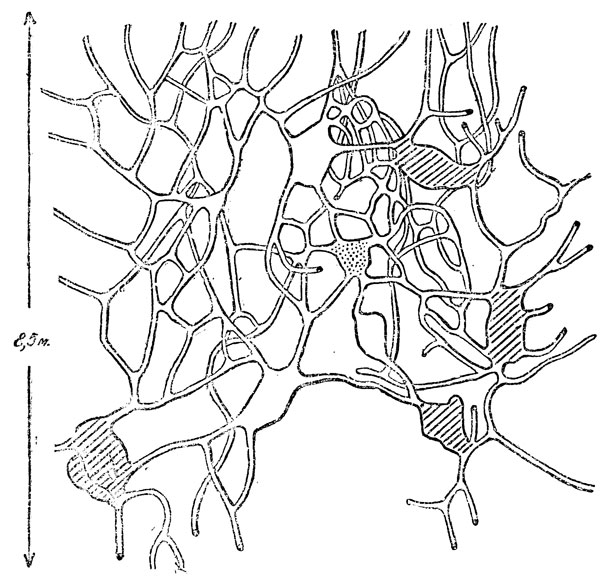        .    ,       ()   ,   ().  ''      -    ,     . - ,  .