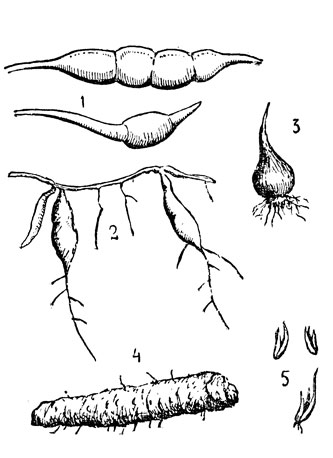    ,  : 1 -    (  ,  ); 2 -    ( , ); 3 -    (  ,   .); 4 -       ; 5 -        ( .).