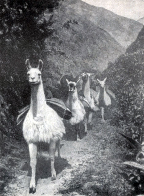 �������� ��������� ������� ��� ��������� � ���� �� ������ ������ ���������