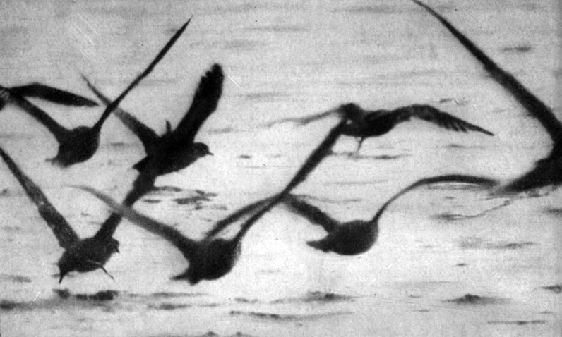 ����� �� ������� �������� - ����������� ������������. ������ �. �. ������� ��������������� �� � ������������ ��������