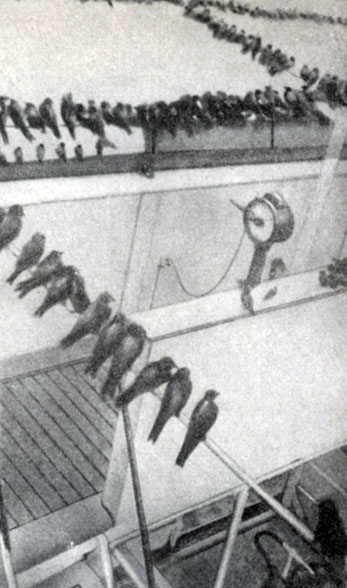 ���������� ����� �������� �� ������� �������