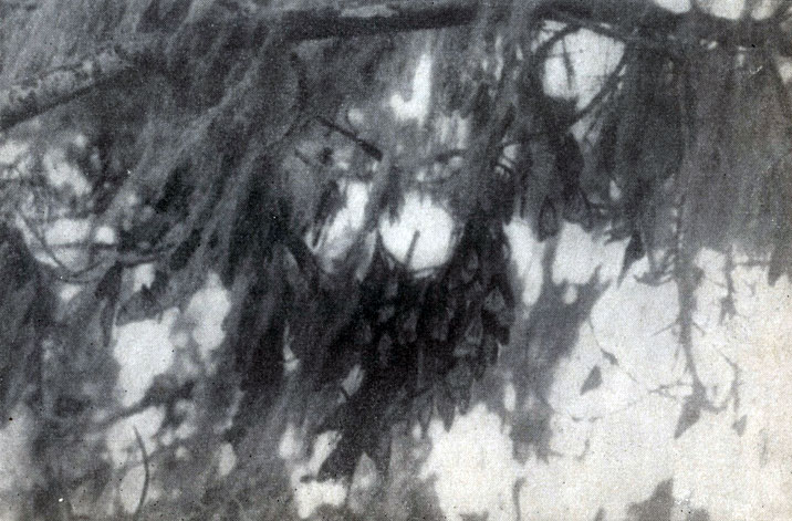 �������� � ����, �������-������� ��� ���� �������� � ������ ������� �� �������� ���� ������ �������������� �����. ������ ������ � ������� ������� ��� �� �����