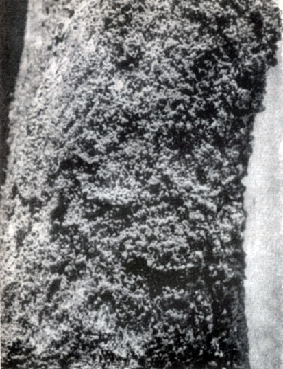 ������ ���������� ������ ������� �������� ����� ������ ����� ����������� '�����'