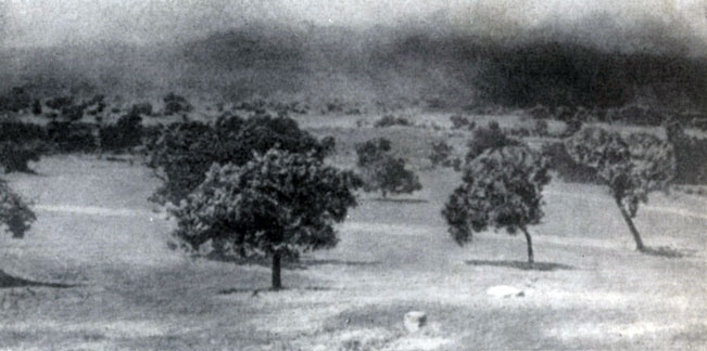 �� �� ���� ������ ����� ������ ��� �������� - ������������ ������� ����� ����������. �������!