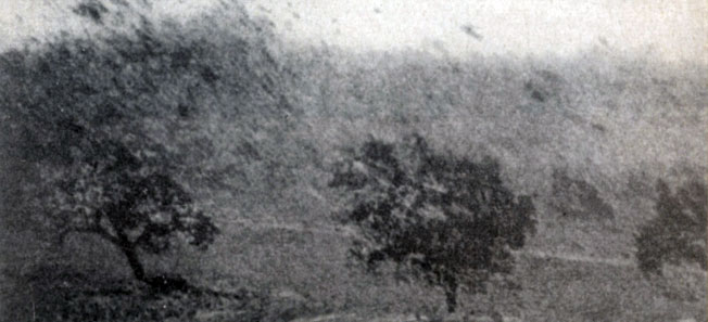 �� �� ���� ������ ����� ������ ��� �������� - ������������ ������� ����� ����������. �������!